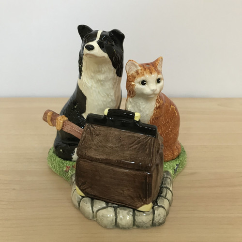 Border collie ginger tabby - border,