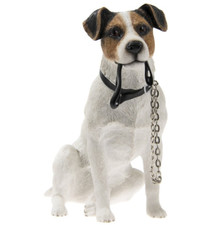 Charming Jack Russell