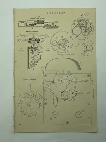 Horology watch elevation - horology,