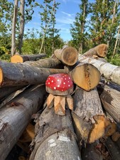 Fairy Garden Stool – Hand Carved Wooden Red Fly Agaric Mushroom Toadstool