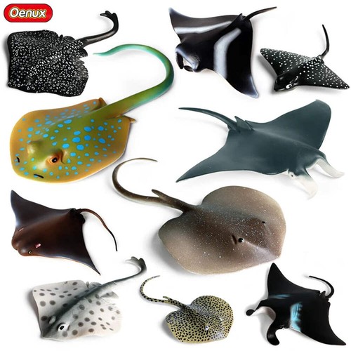 Oenux sea life animals ray - oenux,