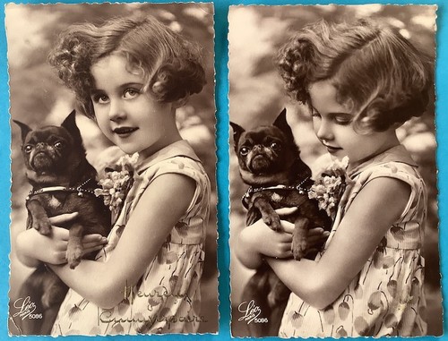 Brussels griffon petit - 2x,