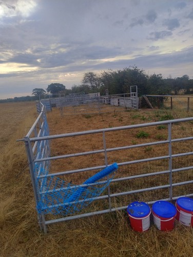Cattle pen crush iae - crush.,