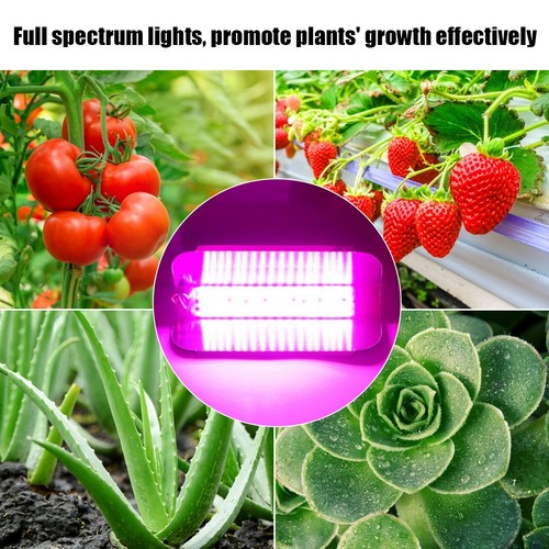 220v 30w indoor plants - 30w,