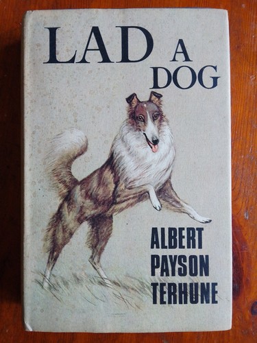Lad dog albert payson - lad,,