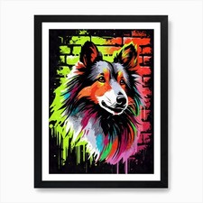 Aesthetic Shetland Sheltie