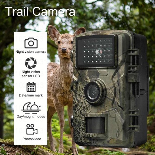 Hunting trail cameras 16mp - hunting,