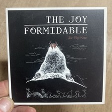 The Joy Formidable - The Big