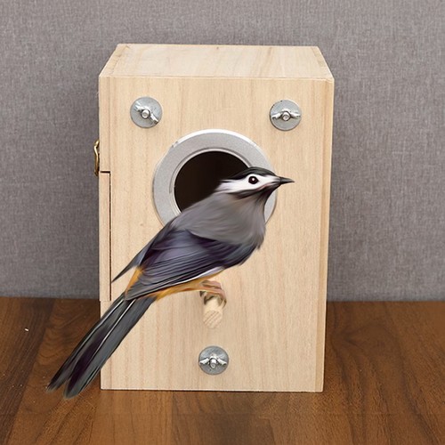 Nesting house wooden bird - nesting,