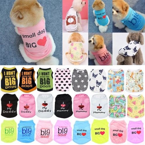 Cute pet dog cat - pet,