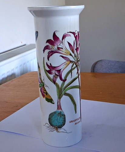 Vintage portmeirion botanic - vintage,