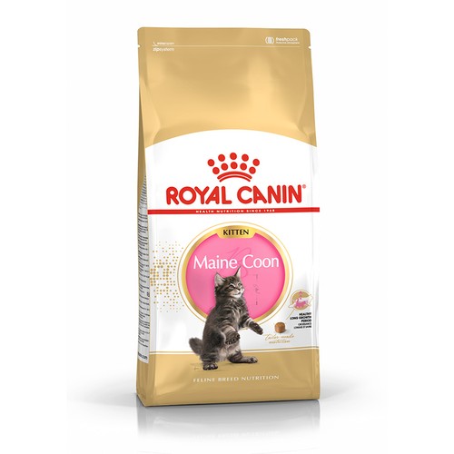 Royal canin kitten maine - canin, coon