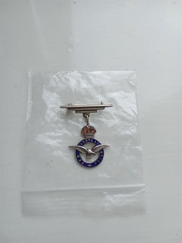 Vintage raf brooch - vintage,