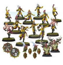 Blood Bowl Wood Elf  Team: The