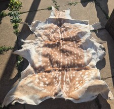 Axis real deer skin rug