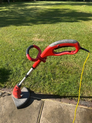Grass champion strimmer - grass,
