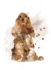 Cocker Spaniel ART PRINT, Dog