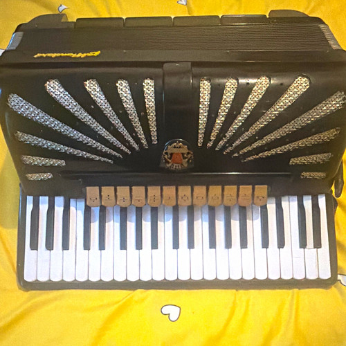 Royal standard piano accordion - royal,