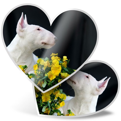 Heart stickers cm - stickers,