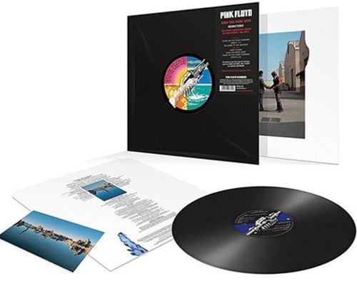 Pink floyd wish - , were