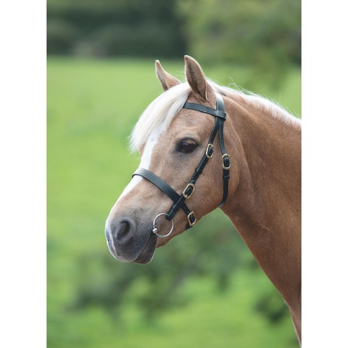Shires velociti gara plain - shires,