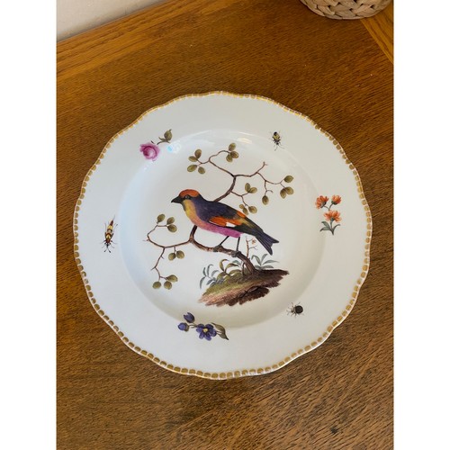 Meissen porcelain dinner plate - meissen,