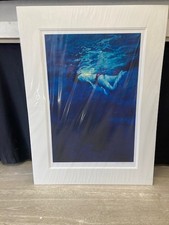 Rolf Harris 'Snorkelling over