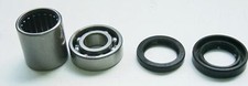 TourMax Swing Arm Bearings &