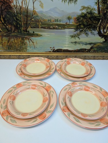 Maxx vintage dinner plates - maxx,