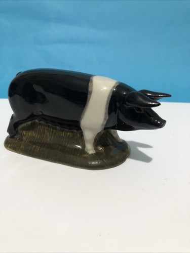 Ceramic saddleback pig - saddleback,