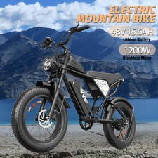 YVY 20" Electric Bike 250W 48V