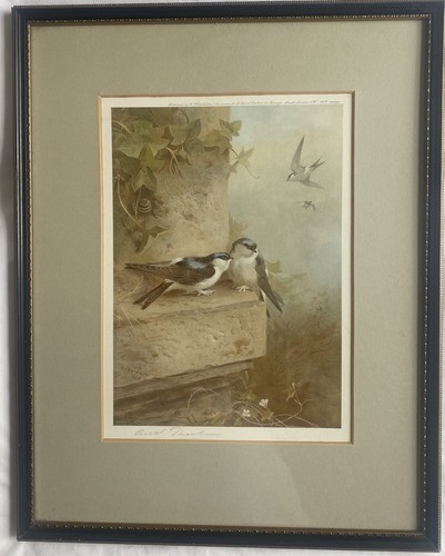 Archibald thorburn - thorburn, (1860-1935)