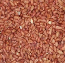 Whole Peanuts Red Skin Wild