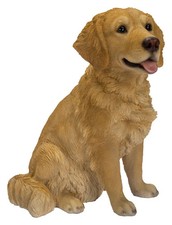 Vivid Arts Golden Retriever