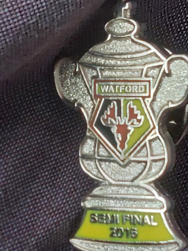 Watford cup semi final - fa,
