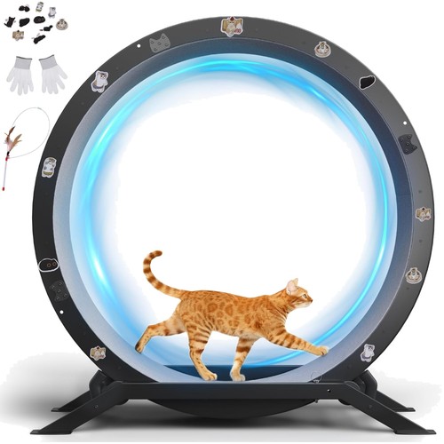 Gtplayer cat exercise wheel - exercise, 40