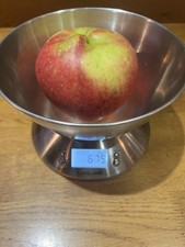 10 x Organic Apple Seeds