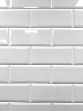White 4x10 Beveled Shiny