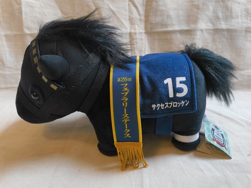 Success brocken thoroughbred - success,