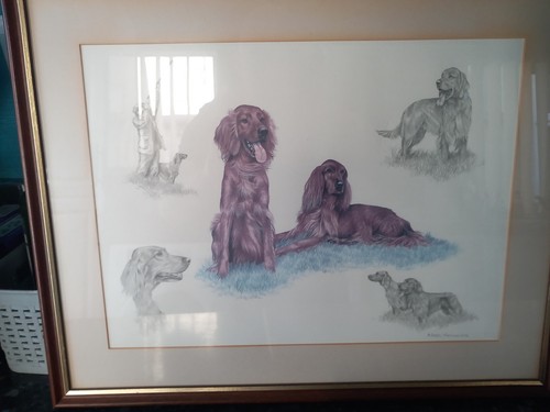 Quality framed print - a, of