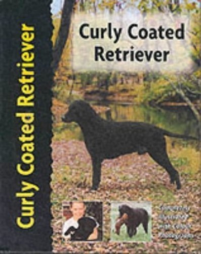 Curly coated retriever - curly,