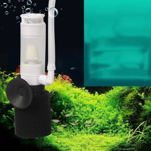 Small aquarium media - small, filter