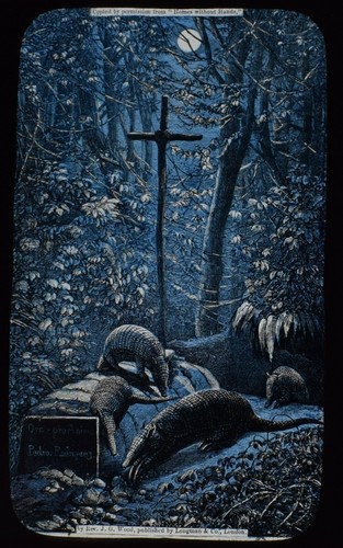 Magic lantern slide grave - lantern, of