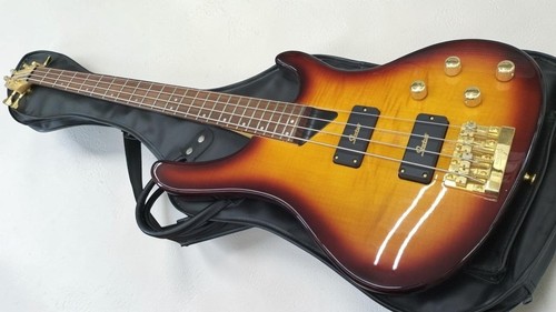 Washburn 1250 used electric - used,