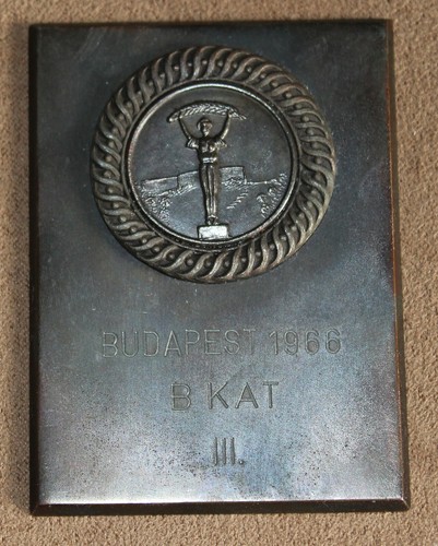 Racing boat plaque - racing, budapest
