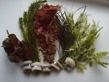 25 BUNCHED SPONGE LEADED LIVE