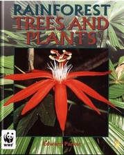 Trees and Plants (Rainforests