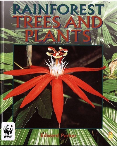 Trees and plants rainforests - trees,