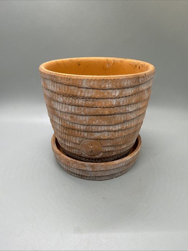 Urban jungle terracotta - jungle,