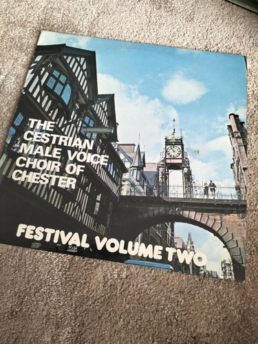 Vinyl the cestrian male - vinyl,